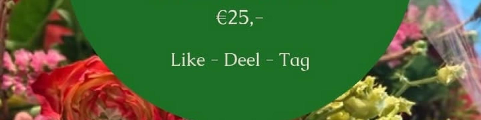 Nieuwsupdate 30 januari - 2026