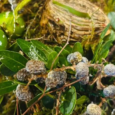 Nieuwsupdate  4 november - 2025