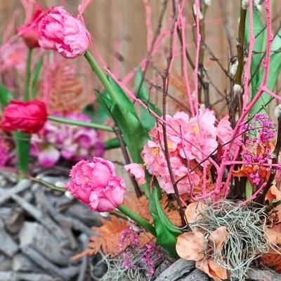 Nieuwsupdate  3 februari - 2026