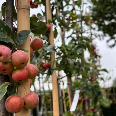 Nieuwsupdate 13 oktober - 2026