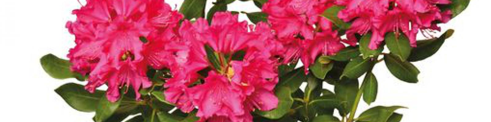 Ook de lente goed beginnen?