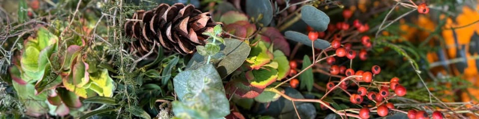 Nieuwsupdate 11 november - 2025