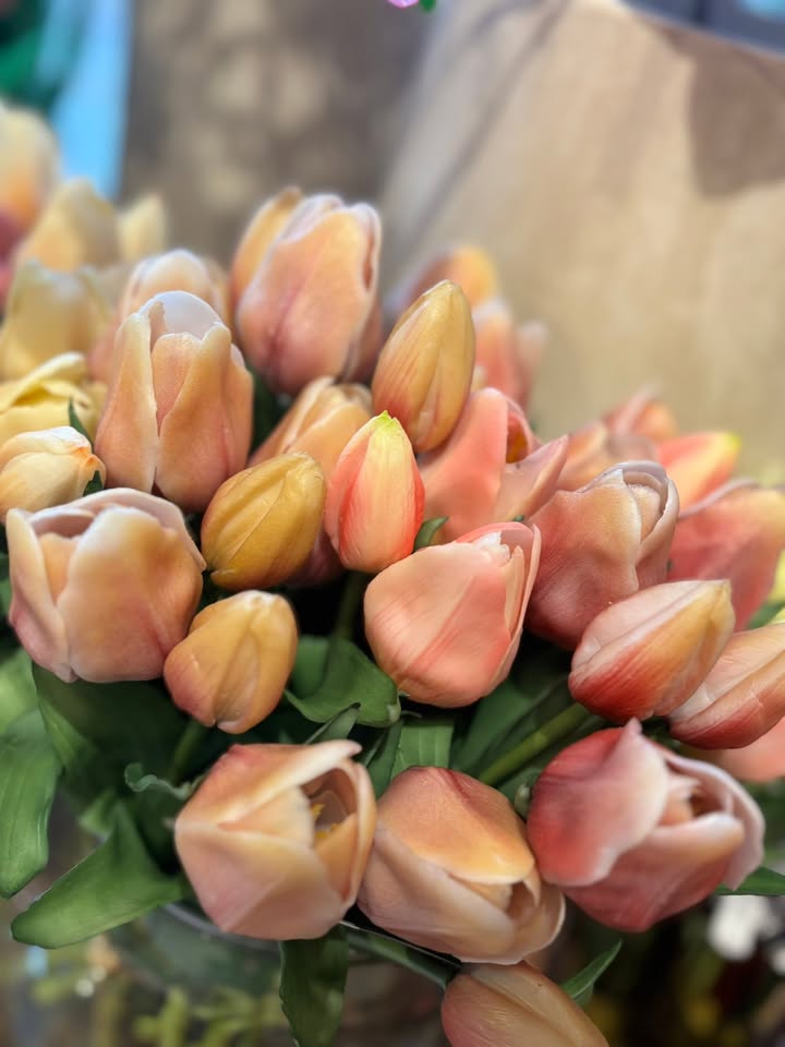 Nieuwsupdate 13 januari - 2026